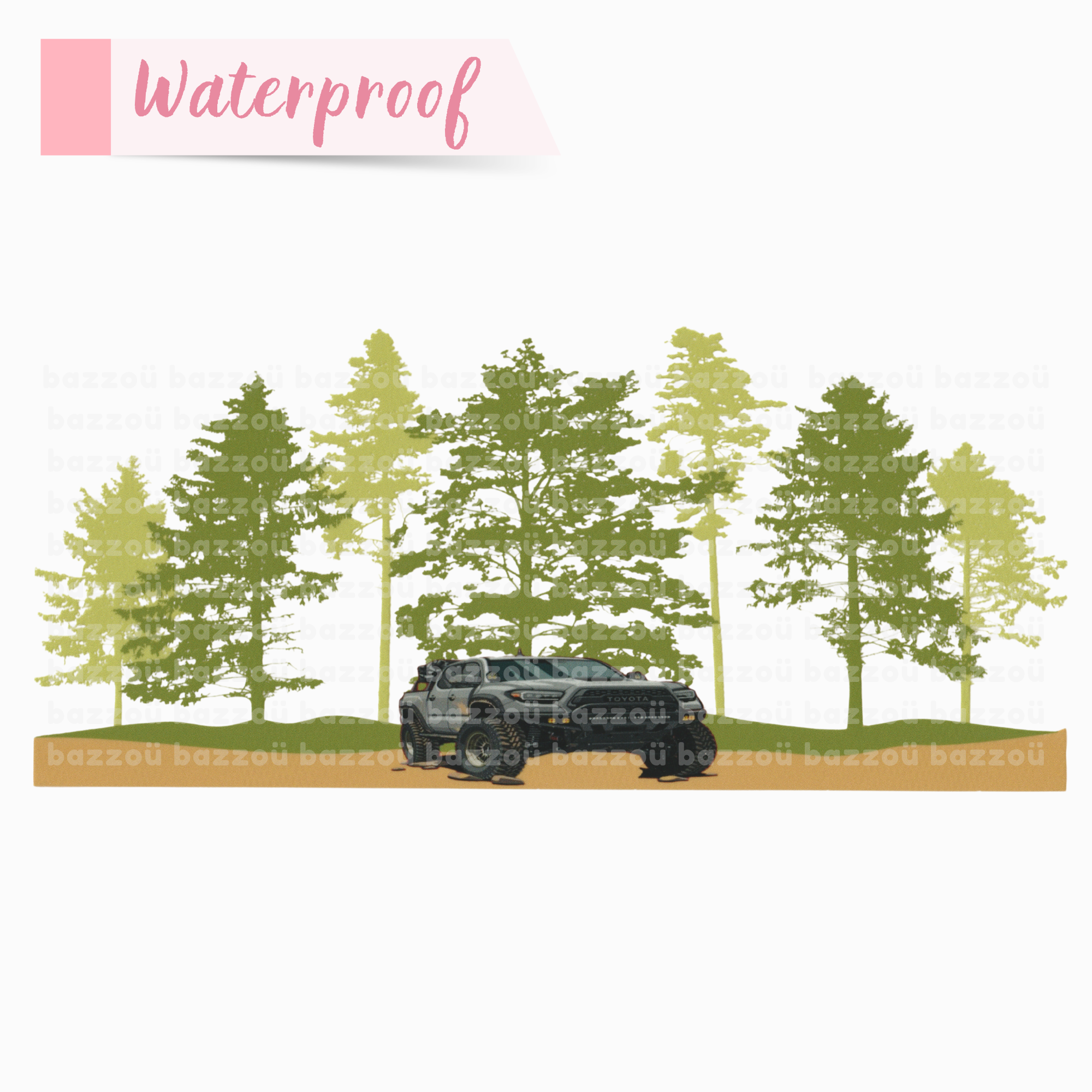 Forest Trails